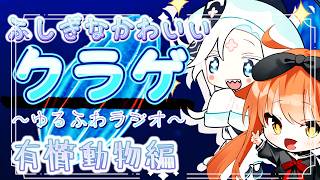 【 生物コラボ 】 ふしぎなかわいい『有櫛動物』………ってなに！？🪼🪼🪼 【 #個人Vtuber #生き物 #クラゲ #茜ちえり #天草せり