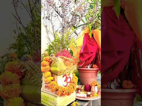 🌼Haribodhani Ekadashiko suvakamana🙏🌼 Jay tulashi Maiya 🌼 #trending #youtubeshorts