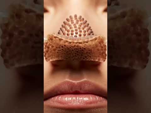Trypophobia Warning – Do NOT Watch If You’re Sensitive 😱