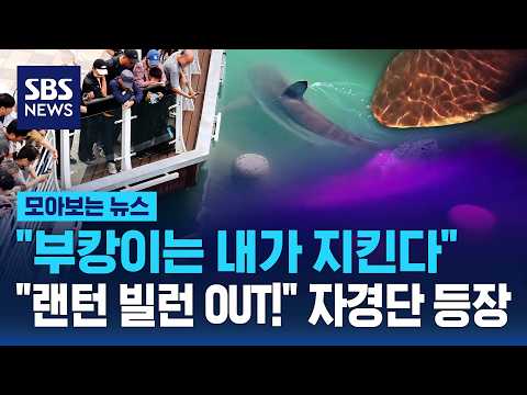 "부캉이는 내가 지킨다".."랜턴 빌런 OUT!" 자경단 등장 / SBS / 모아보는뉴스