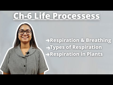 Ch-6 'Respiration' Life Processess L1|| REVISION🔥|| Term-1 Exams || Class-10 Science Ch-6