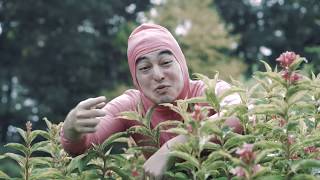 動画サムネイル