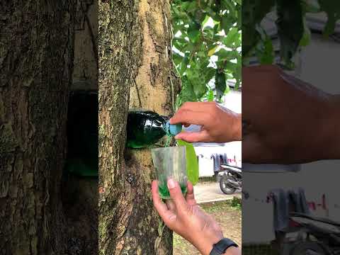 Kran air dari botol bekas #idekreatif #idekreatifterbaru #idekrearifdaribotol