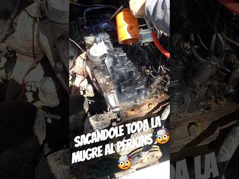 SACANDOLE LA MUGRE AL PERKINS!!