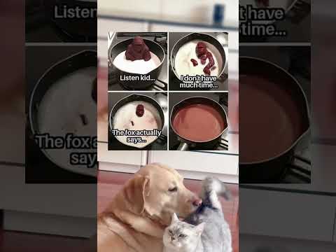 #memes #story #dog #shorts #pets
