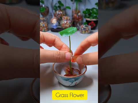 How to growing grass flowers in cup #beautiful #garden #flowers #2025