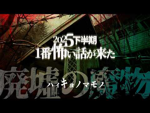 ※2025年下半期 1番怖い怪談が届きました※【ナナフシギ】【怖い話】