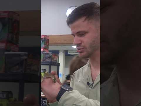 $1,000 SNAKE!!! 🐍 #learn #snake #reptiles