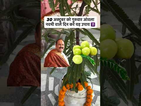 30 अक्टूबर गुरुवार आंवला नवमी#YouTube shorts#YouTube status#trending#viral video #upay#motivation