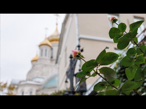 Вечернее богослужение. Акафист Пресвятой Богородице