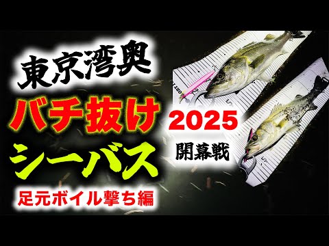 東京湾奥バチ抜けシーバス開幕戦2025 - 1月末の大潮周り足元ボイル撃ち編 - 川バチ 冬シーバス