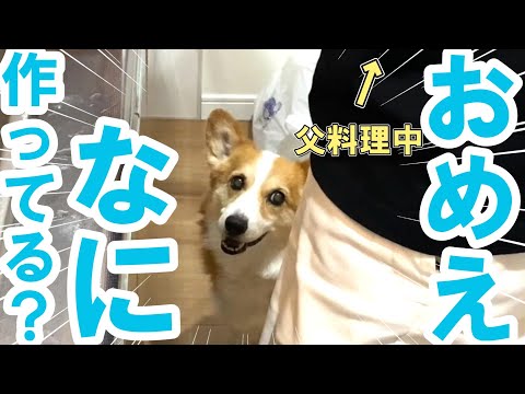 熱がある母のかわりに父が料理してたら愛犬がこうなりました