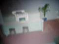 Alvaromichin