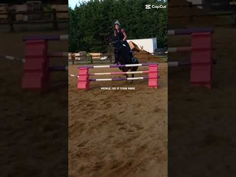 #horse #equestrianjourney #equestrianriding #horsebackriding #riding #horsegirl