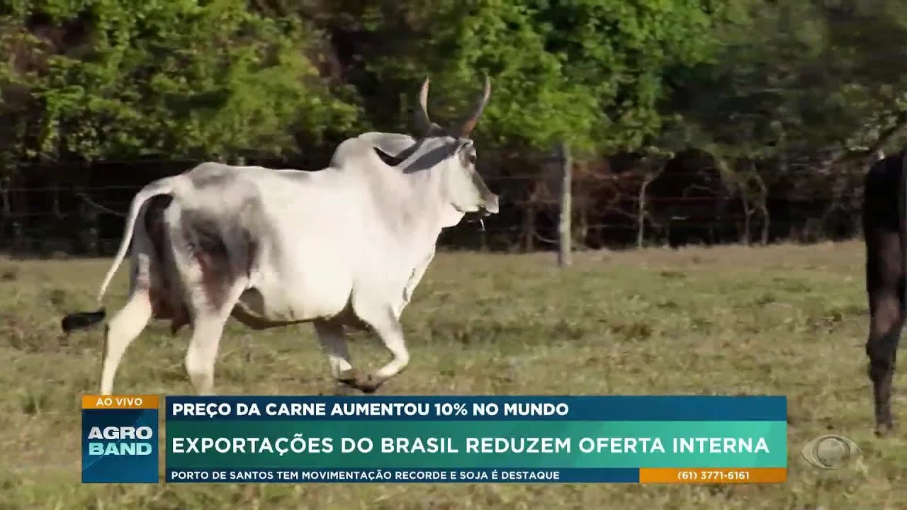 Preço da carne aumentou 10% no mundo