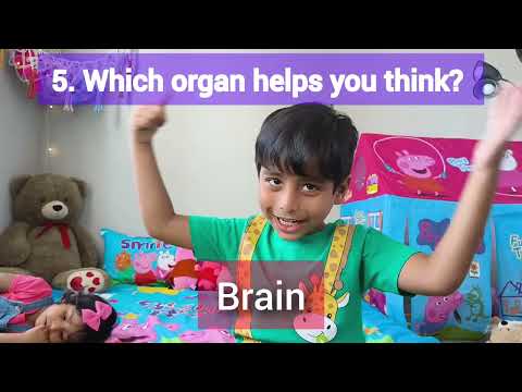 Quiz 5 – Can Your 5-Year-Old answers this Human Body quiz? | JunnukajuWorld