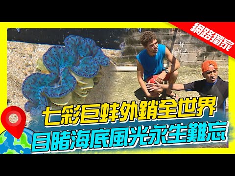 【馬紹爾】七彩巨蚌外銷全世界 目睹海底風光永生難忘｜《世界第一等》69集濃縮精華版 #世界該去哪 #小馬