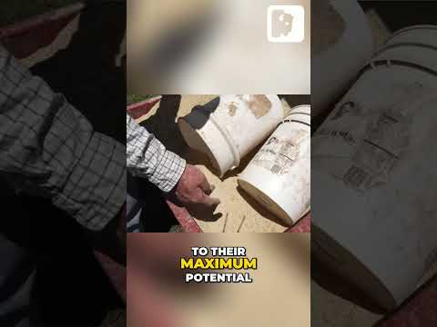 Chicken Diet Secrets (Click above to watch the full video)