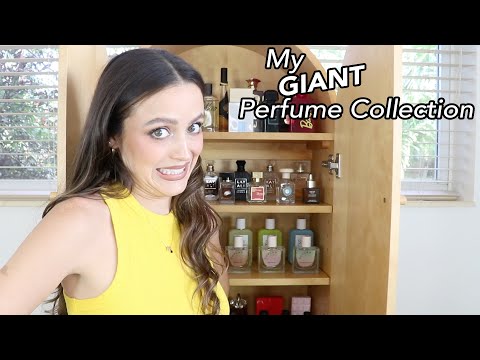 MY UPDATED PERFUME COLLECTION - 2023