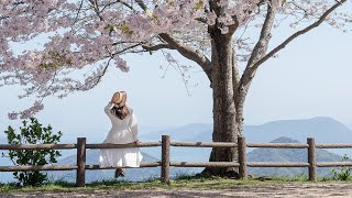 動画サムネイル
