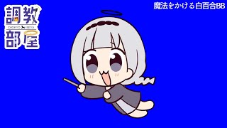 ⋆⸜ 調教部屋  ⸝⋆ ( 'ω' )【白百合リリィ / ビビドニア 】