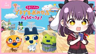 【プチプチおみせっち】やった～～～！ついに新作だ～～！！【響木アオ】