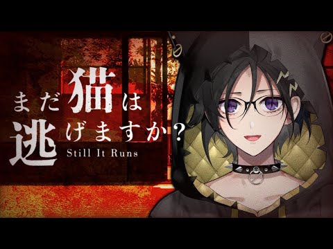 まだ猫は逃げますか？ をやる【 奏手イヅル 】