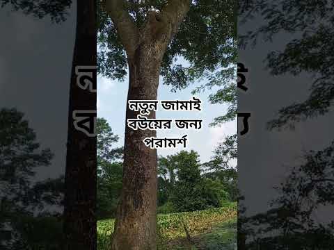 টাকা হলে বউ নিয়ে ঘুরতে যান#shorts #shortsvideo #islam #foryou