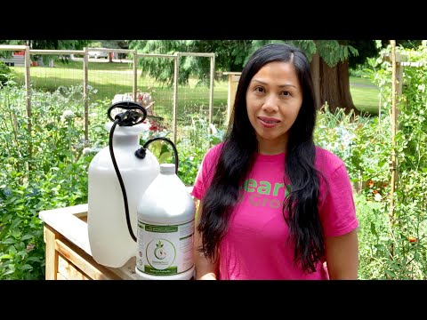 How To Foliar Feed Your Plants & Giveaway! (ENDED )