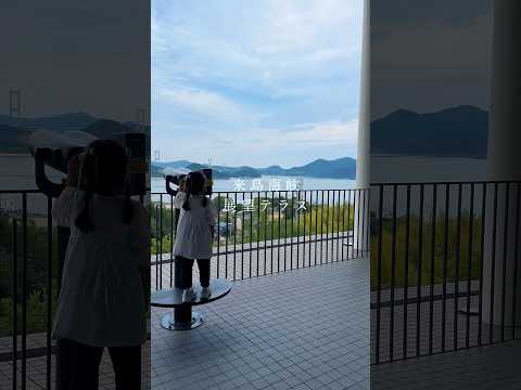 しまなみでトビを誘う5歳児