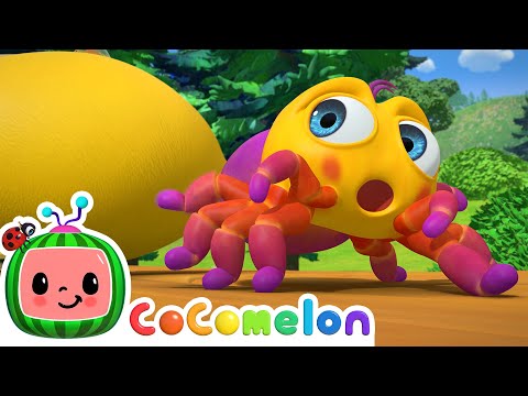 Itsy Bitsy Spider | CoComelon Nursery Rhymes & Animal Songs