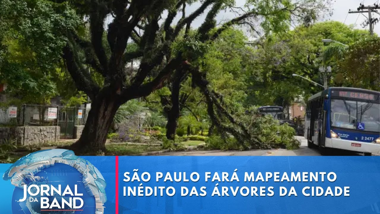 São Paulo fará mapeamento inédito das árvores da cidade | Jornal da Band