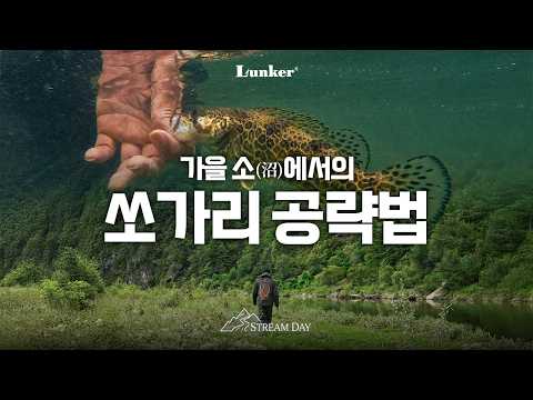[STREAM DAY EP.5] 바뀌어가는 계절, 가을 소(沼) 쏘가리를 만나다