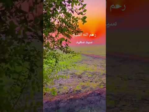 الشيخ سيد سعيد #duet #اكسبلور #تيك_توك #دويتو #beautiful #كلام_من_ذهب #لايك