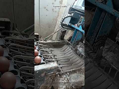 자동화된 가공 기계가 신선한 <strong>갈색</strong> 달걀에 걸쭉한 진흙 반죽을 입히는 모습 — 컨베이어 라인에서 산업용 선별 및 진흙 반죽 도포 기계를 사용하여 전통적인 방식으로 보존 처리된 삭힌