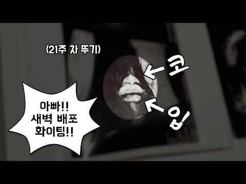 새벽 배포 또 하는 개발자 근황 / 아내 실수 수습하는 남편 인성 (feat. 뚜기 얼공?!)