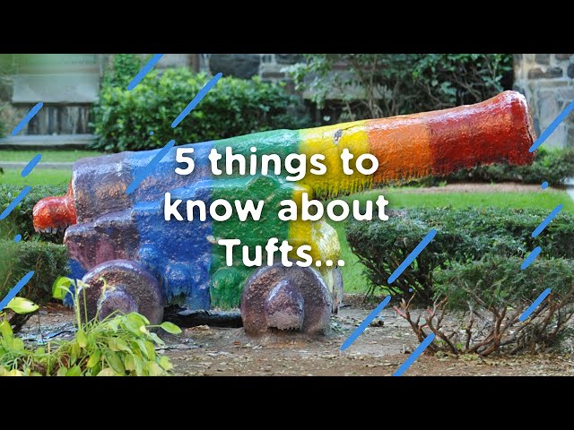 Tufts Baseball Schedule: A Guide to the Season