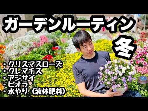 ◆【ガーデンルーティン】クリスマスローズ・紫陽花他冬の重要作業！