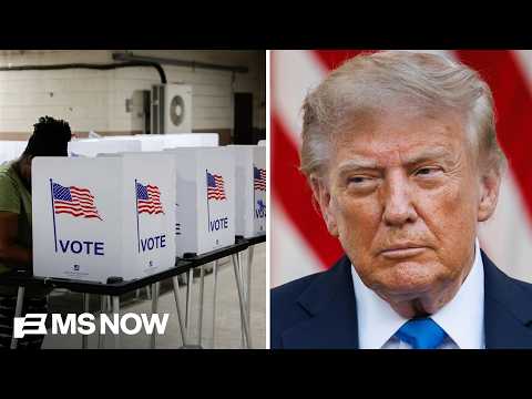 'Stealing Elections, American Style': New book reveals the history of CHEATING in U.S. elections