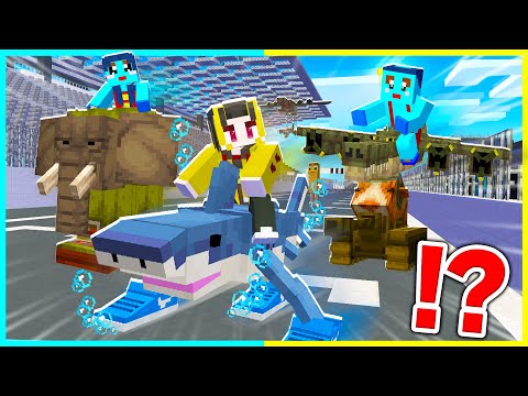 ブレインロットのキャラで最速を決めるレース対決！【まいくら / マインクラフト】