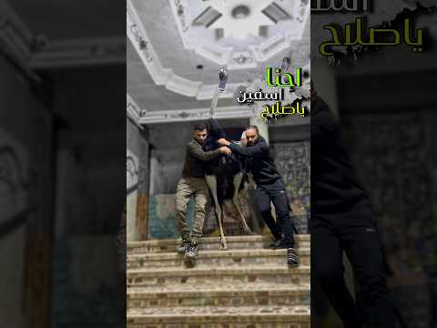 نزول نعام من الدور السابع 🫢 #احمد_السيد