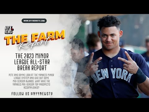 The 2023 Minor League All-Star Break Report Card