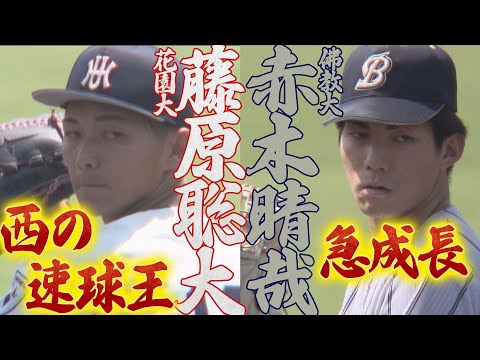 【2025ドラフト候補】藤原聡大（花園大）＆赤木晴哉（佛教大）