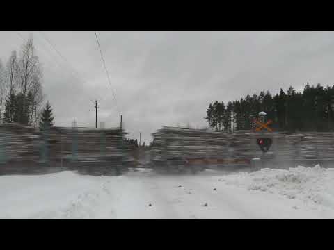 VR freight train T 55732 passed SEPÄNSALMI level crossing @ Heinävesi, Finland