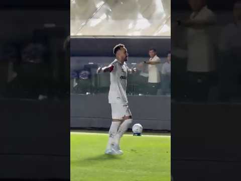 image para ilustrar o artigo