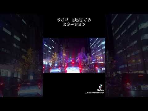 ライブ　御堂筋イルミネーション2024