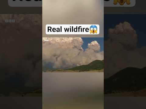 #naturaldisaster #wildfire