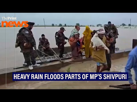 'Total 30 people, including children, were stranded here': Survivor of MP's Shivpuri flood