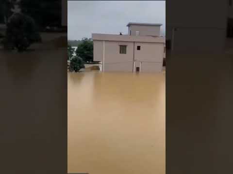 china rain #china #chinarain#rain #chinaflood #flood #viralvideo #meriumpervaiz #cat