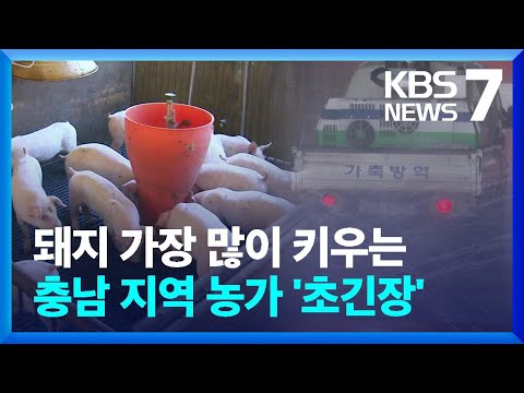 ‘사육두수 1위’ 충남, “구제역 막아라” 총력전 / KBS  2023.05.12.